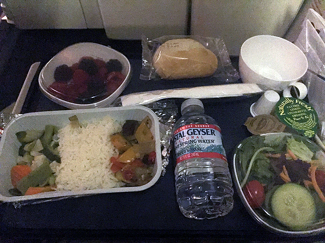 Airplane in flight Food Iberia vegetarian