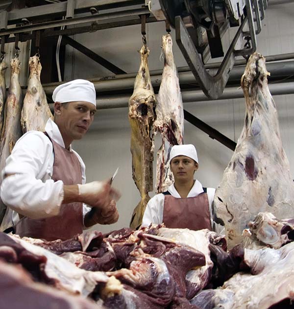 slaughterhouse-workers vegan chao